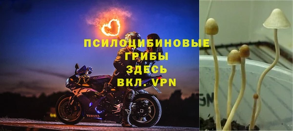 бошки Армянск
